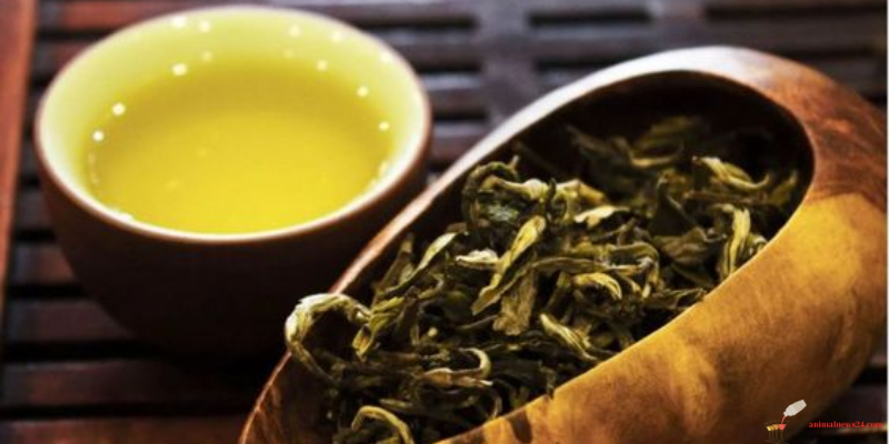 What is Shan Tuyet tea?