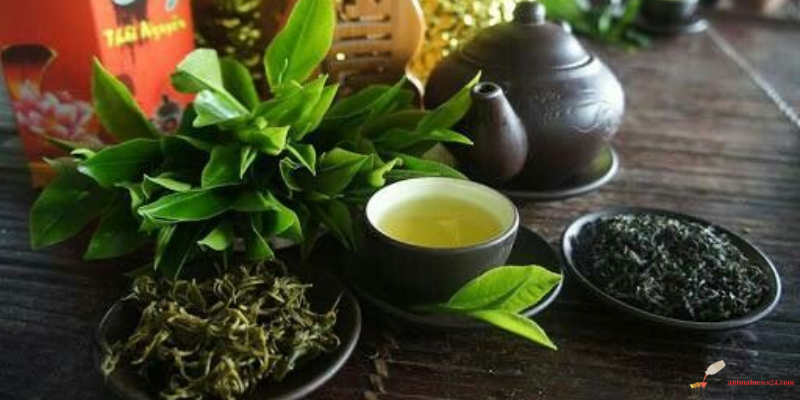 How to make dry green tea