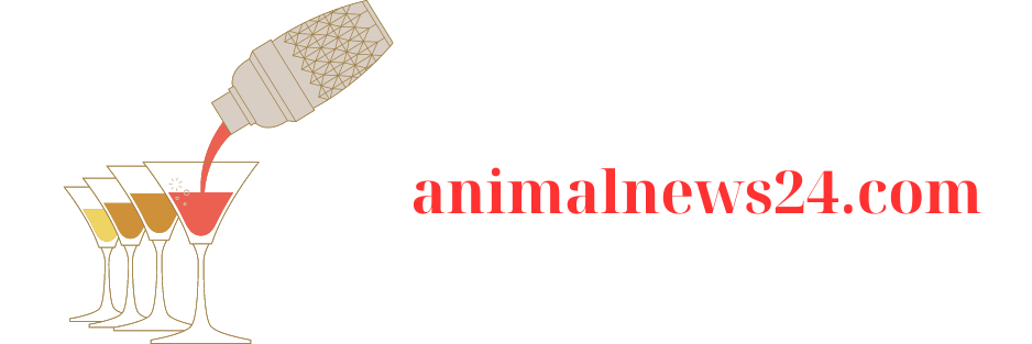 animalnews24.com