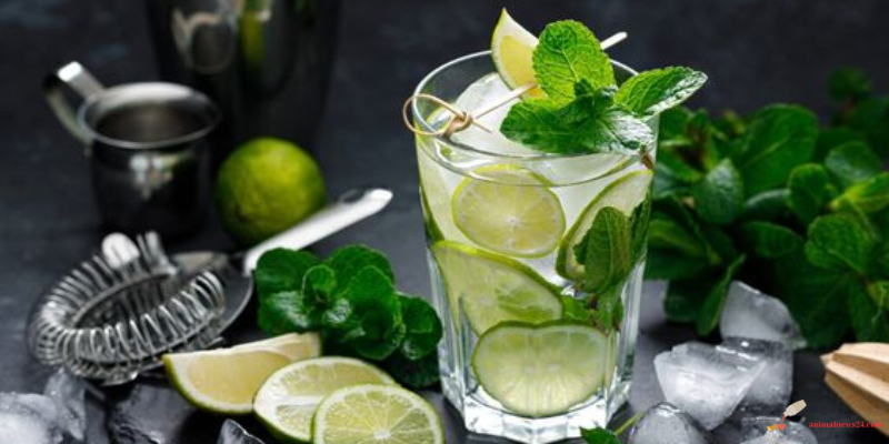 History of the Mojito