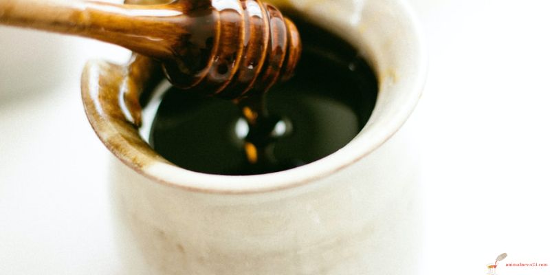 How to cook black sugar syrup