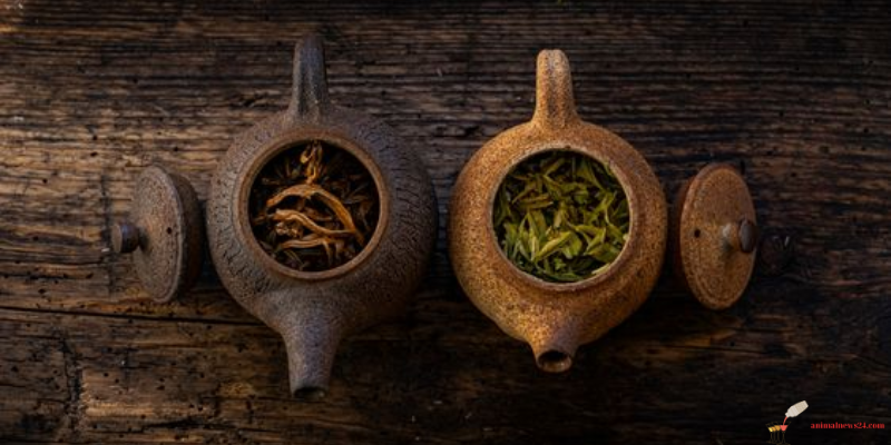 Huangshan Maofeng Tea