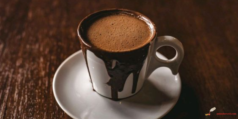 How to prepare hot milk cocoa